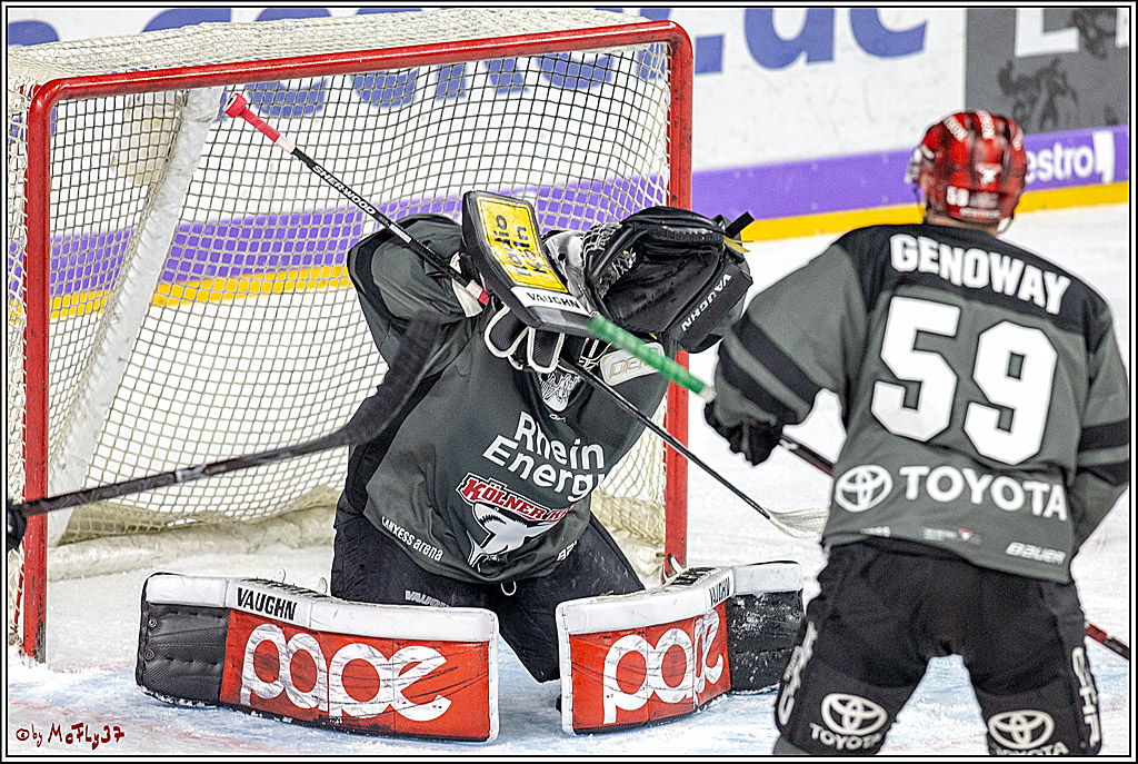 DEL; Koelner Haie - EHC Red Bull Muenchen, 25.11.2018